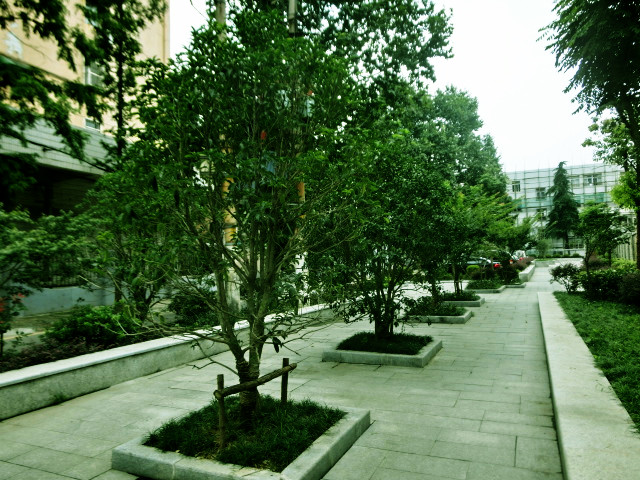 南京立體綠化,南京立體綠化墻,南京屋頂花園,南京屋頂花園裝修