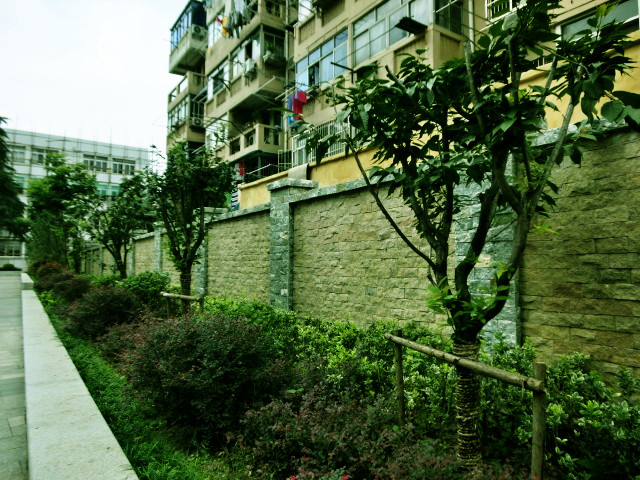 南京立體綠化,南京立體綠化墻,南京屋頂花園,南京屋頂花園裝修